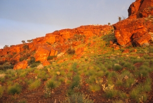 13australia
