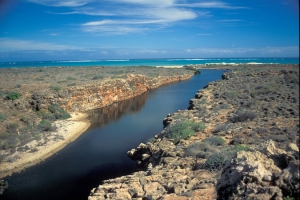 54australia