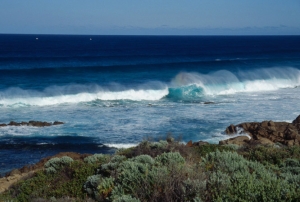 59australia