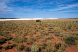 64australia