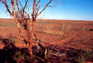 6australia
